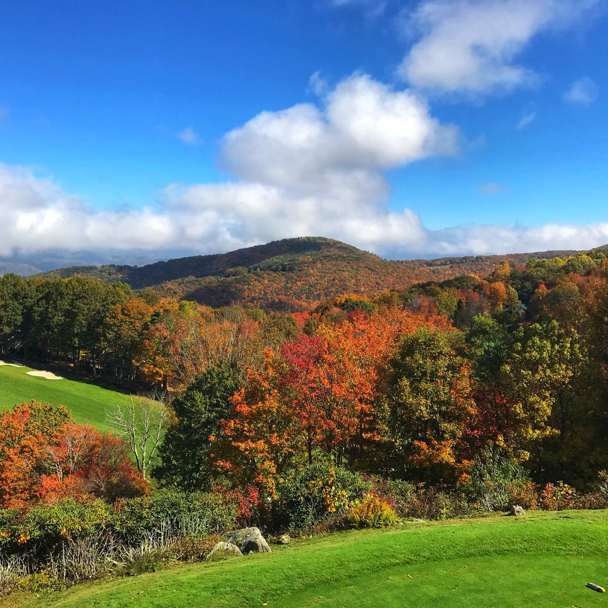 Beech ENewsletter